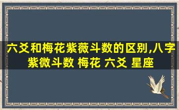 六爻和梅花紫薇斗数的区别,八字 紫微斗数 梅花 六爻 星座 塔罗